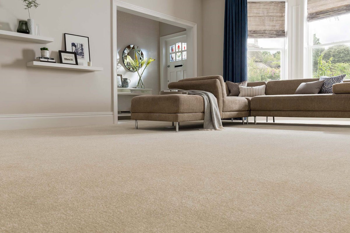 Carpet In Living Room Or Laminate
