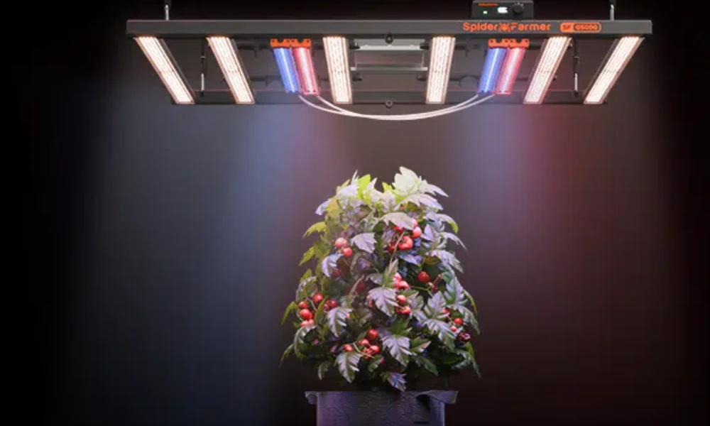 Beyond Wattage: How Custom Light Spectra in Your Grow Tent Reveal Hidden Plant Aromas and Flavors